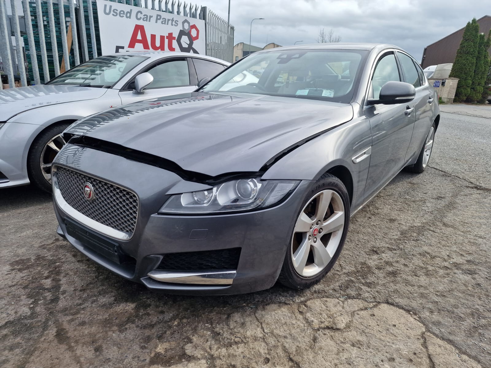 JAGUAR XF